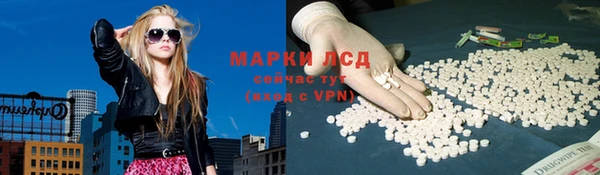 стафф Коряжма