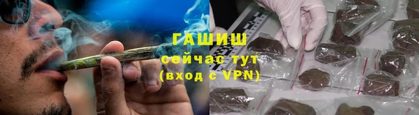 прущие грибы Алексеевка