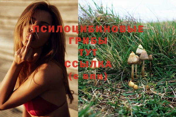 спиды Елабуга