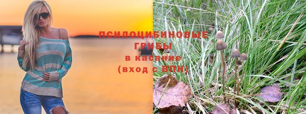 прущие грибы Алексеевка