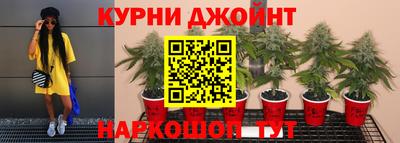спиды Ливны