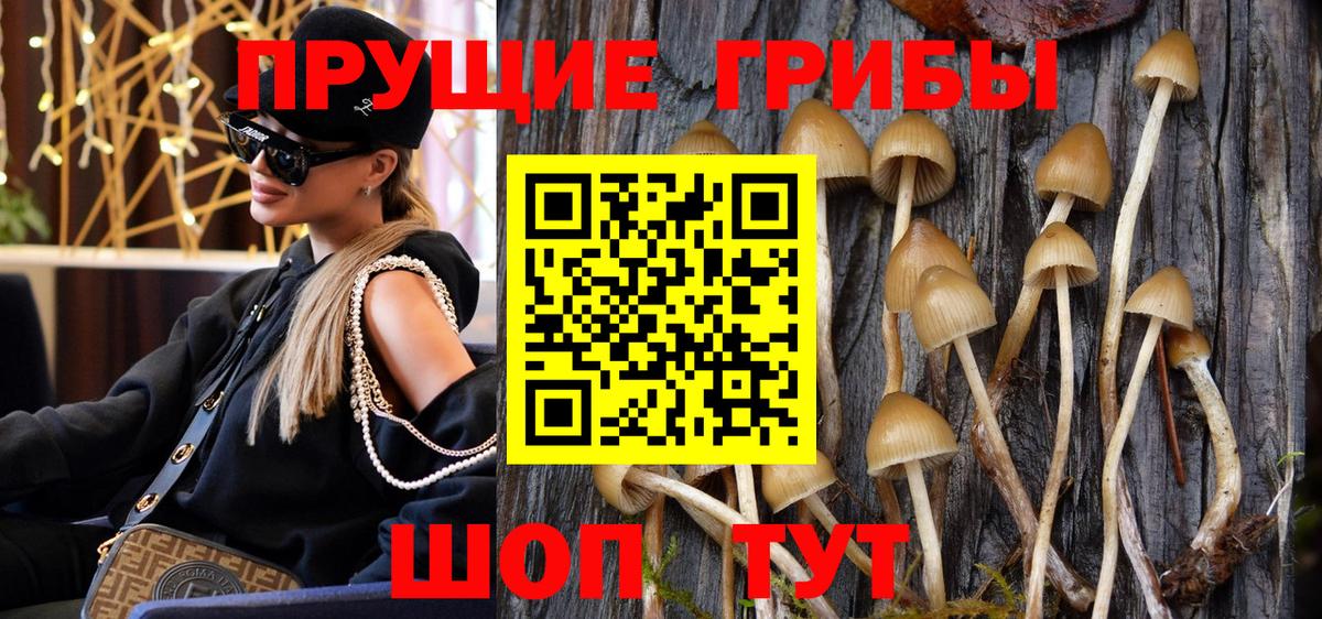 Галлюциногенные грибы MAGIC MUSHROOMS  Вход с VPN  Джанкой 