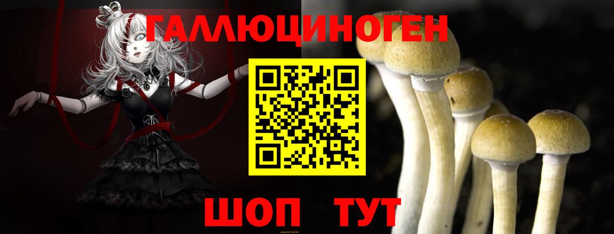 Псилоцибиновые грибы Cubensis Джанкой